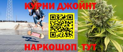 молекула духа Будённовск