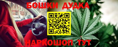 молекула духа Будённовск