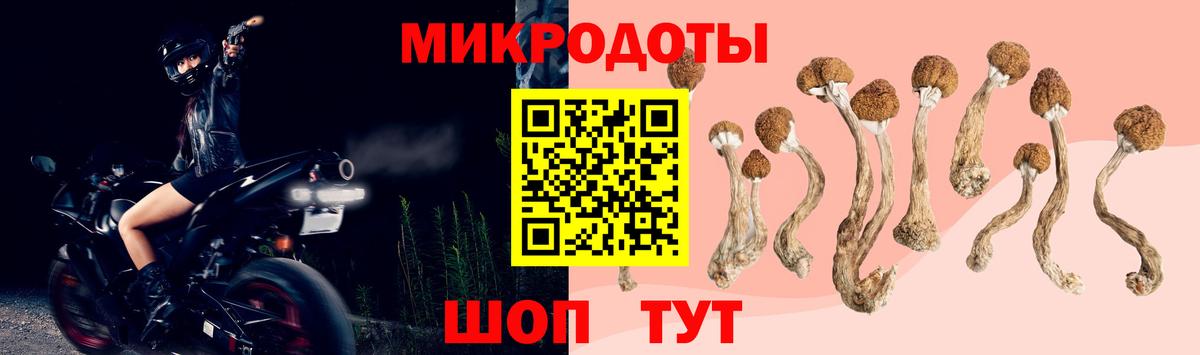 Псилоцибиновые грибы Psilocybine cubensis  Галлюциногенные грибы Psilocybe  Вход с VPN  Темрюк 